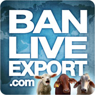 Ban Live Exports